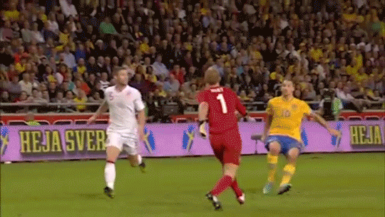 Ο Zlatan και άλλοι παικταράδες που δεν θα βρεθούν στο Μουντιάλ - εικόνα 8