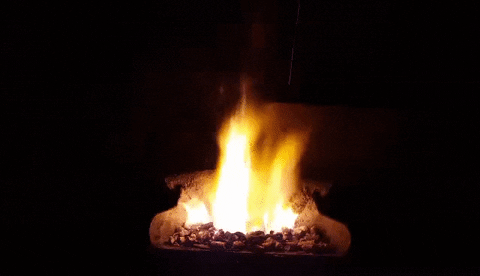 Fire Year GIF Fire Year GIF