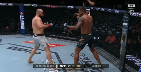 giphy.gif