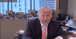 Donald Trump animated
                  gif