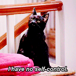 Sabrina The Teenage Witch Cat GIF - Find & Share on GIPHY