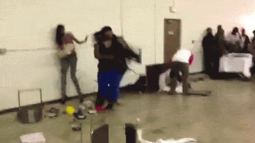 giphy.gif