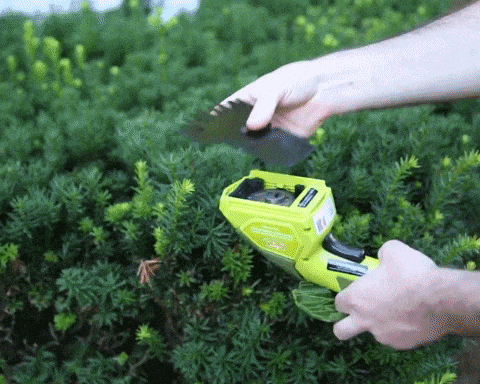 Hedger Joe | Il tagliaerba e il tagliasiepi cordless 2 in 1!
