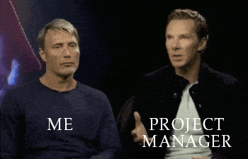 Programmer vs Project Manager