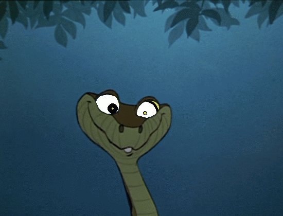 Kaa GIF - Find & Share on GIPHY
