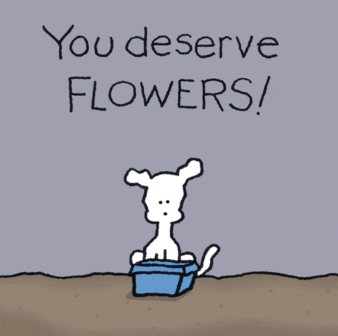 Zaslužiš si rože