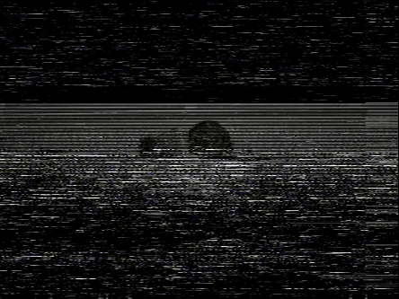 VHS Static Overlay ~ Vhs Overlay Noise With Timecode | Giblrisbox Wallpaper