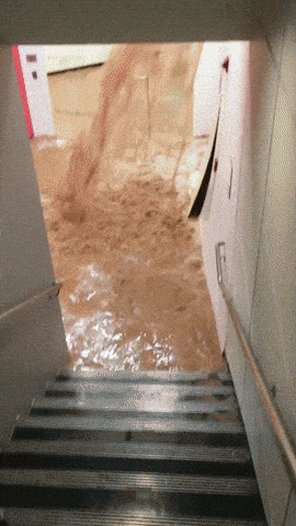 giphy-downsized-large.gif