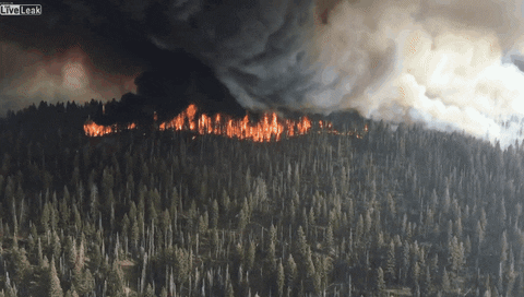 Fire GIF - Find & Share on GIPHY