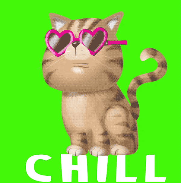 Cat In Sunglasses GIFs Find & Share on GIPHY