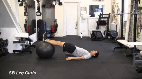 how to treat a pulled hamstring - SB Leg Curls