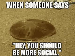 When you are antisocial in funny gifs