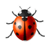 Bug Ladybug Sticker for iOS & Android | GIPHY