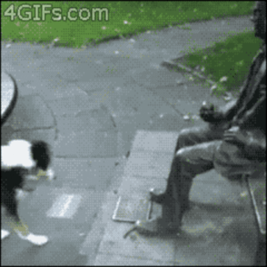 giphy-downsized-large.gif