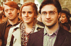 ron hermione and harry older