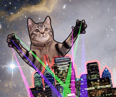 cat space city attack lasers