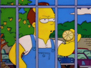 The Simpsons Lemon GIF - Find & Share on GIPHY