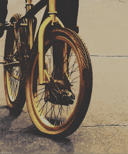 gold bicycle bike trinidad james
