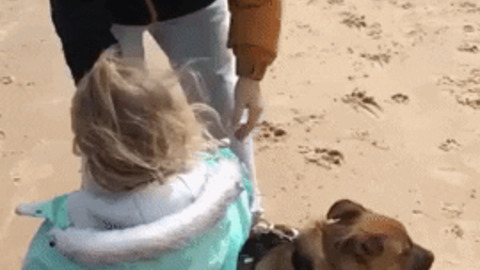 Taking doggo for beach walk