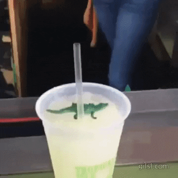 Here comes the shark in funny gifs