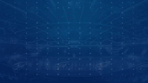 Piráti Chomutov GIF