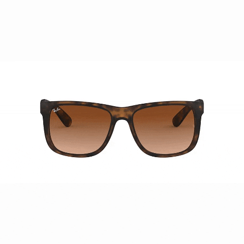 Optica Turati GIF