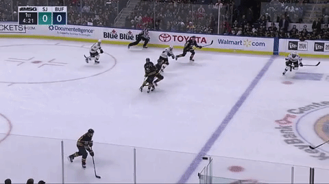 Hockey Sabres GIF - Find & Share on GIPHY