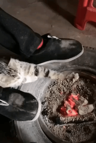 How to Build a Backyard Fire Pit | Cat Feels Cold, Roasting Beans