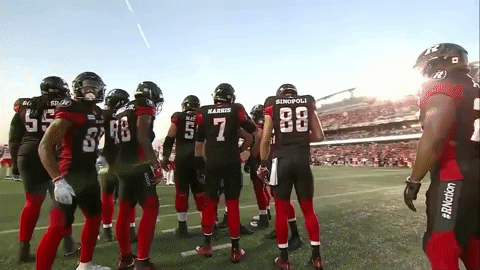 redblacks standing on field