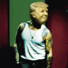 giphy.gif