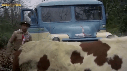 giphy-downsized-large.gif