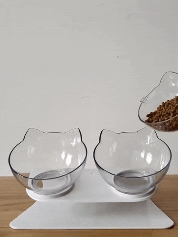 Non-slip Raised Stand Cat Bowls – Mac Fluffy Store
