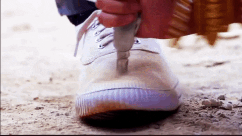 giphy.gif (480Ã271)