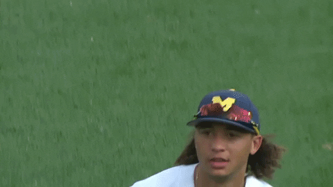 Michigan Athletics GIF