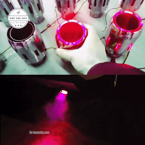 Animated GIF