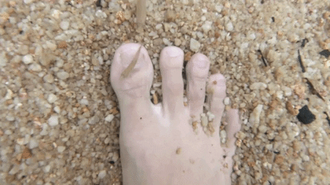 Free Fish Spa at Sungai Pandan Waterfalls - Kuantan Guide