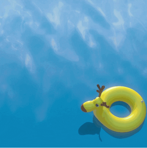 Frozen Pool GIF by Disney - Find & Share on GIPHY