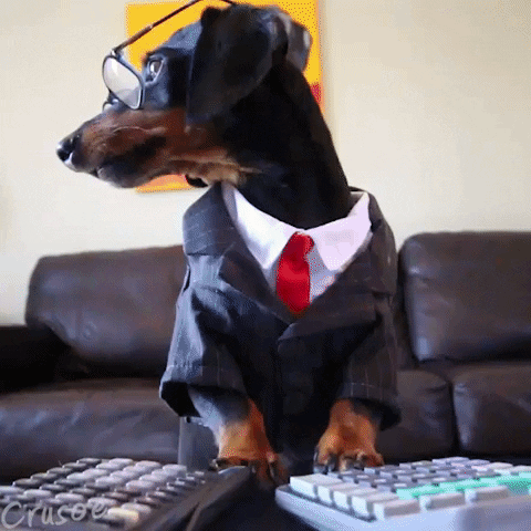 Dachshund dog prepares his tax return.