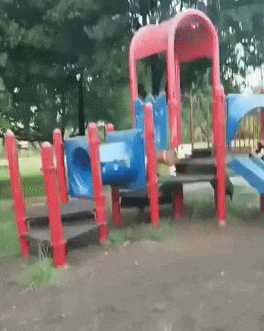 Survival of the fittest in funny gifs