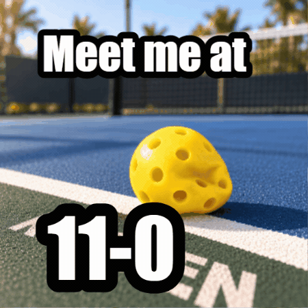 TOCO67 Pickleball GIF cP52ZbWIxi0AS5bO3g