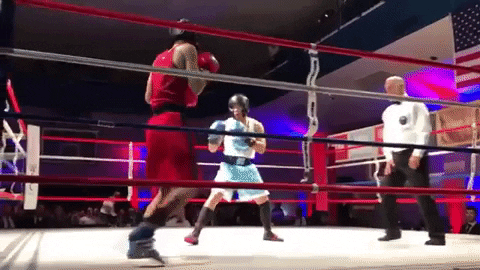 Boxing Combo GIF - Find & Share on GIPHY
