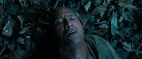 https://media.giphy.com/media/cRLf1ImBv2p404aXZy/giphy.gif