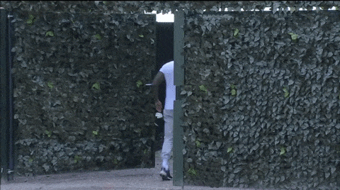 giphy-downsized-large.gif