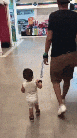 Image result for child harness gif