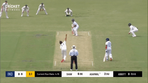 giphy.gif