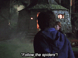 Harry Potter Spiders Gif Find Share On Giphy