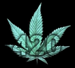 420 GIF - Find & Share on GIPHY