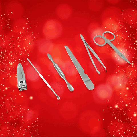 6729 Nail Scissors Professional Nail Clippers Kit Manicure Set 6 Pieces Top Grade Stainless Steel Grooming Kit For Travel Or Home Manicure Set (6 Pc Set) 6729 Nail Scissors Professional Nail Clippers Kit Manicure Set 6 Pieces Top Grade Stainless Steel Grooming Kit For Travel Or Home Manicure Set (6 Pc Set)