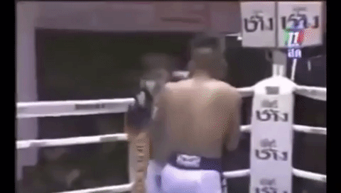 Professional boxing in sports gifs