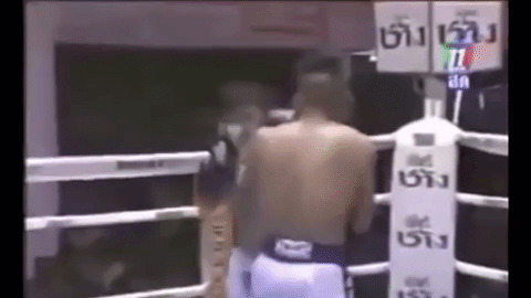 Professional boxing